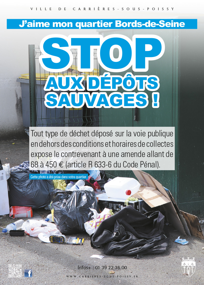 DEPOTS SAUVAGES BDS