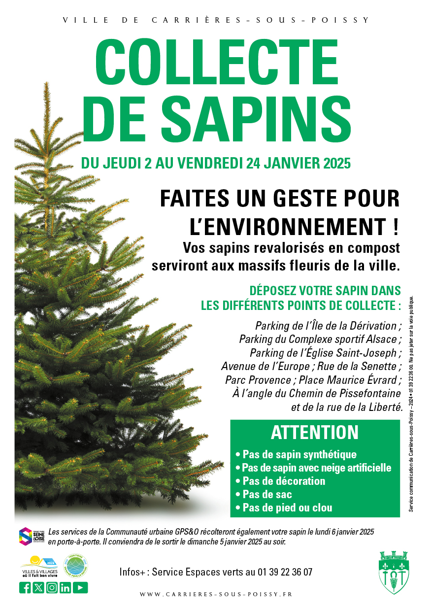 Collecte de sapins