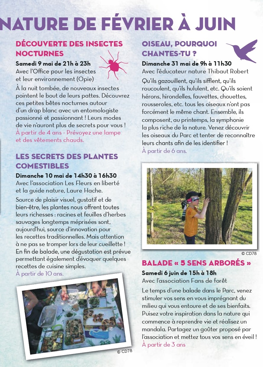 A5 PPDH PROGRAMME TRI1 26 BD3